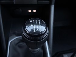 31