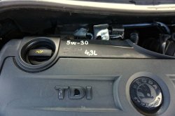 43