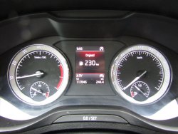 29