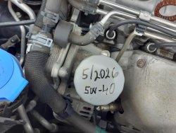 25