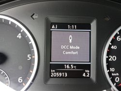 31