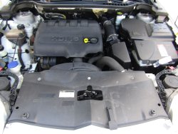 36