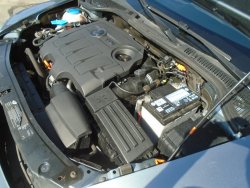 36