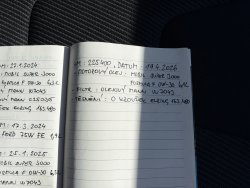 31