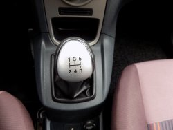 31