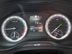 31